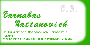 barnabas mattanovich business card